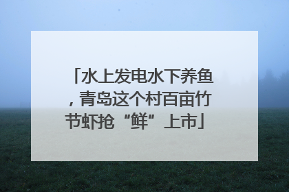 水上发电水下养鱼，青岛这个村百亩竹节虾抢“鲜”上市