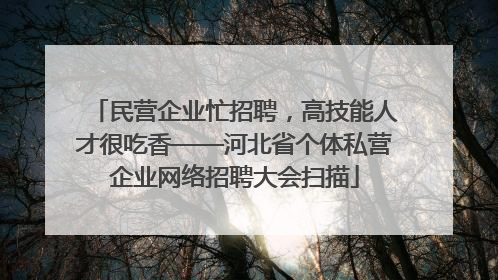 民营企业忙招聘，高技能人才很吃香——河北省个体私营企业网络招聘大会扫描
