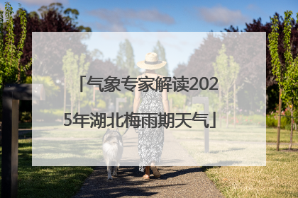 气象专家解读2025年湖北梅雨期天气
