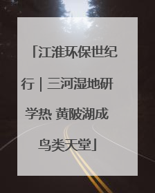 江淮环保世纪行｜三河湿地研学热 黄陂湖成鸟类天堂