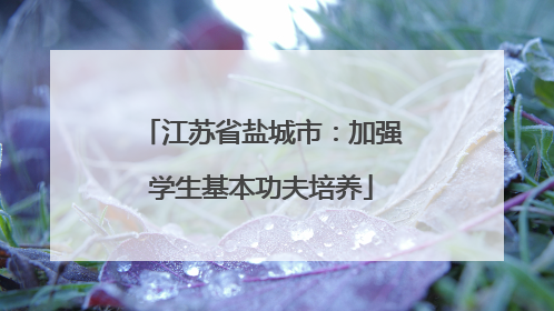江苏省盐城市：加强学生基本功夫培养