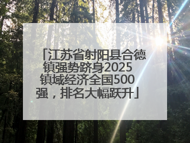 江苏省射阳县合德镇强势跻身2025镇域经济全国500强，排名大幅跃升