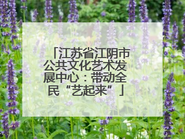 江苏省江阴市公共文化艺术发展中心：带动全民“艺起来”