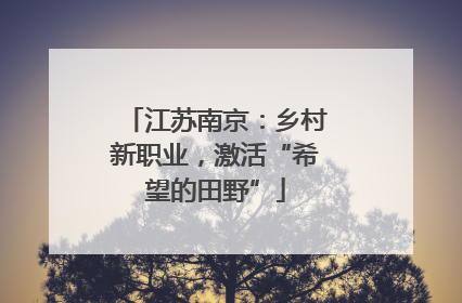 江苏南京：乡村新职业，激活“希望的田野”