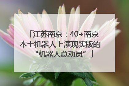 江苏南京：40+南京本土机器人上演现实版的“机器人总动员”