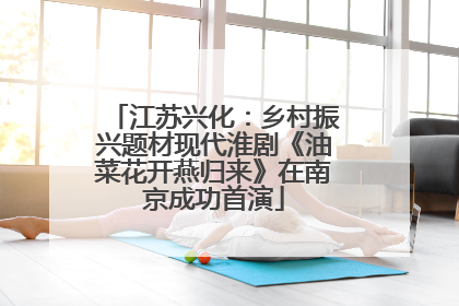 江苏兴化：乡村振兴题材现代淮剧《油菜花开燕归来》在南京成功首演