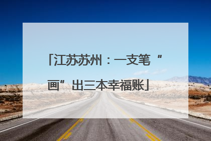 江苏苏州：一支笔“画”出三本幸福账