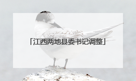 江西两地县委书记调整