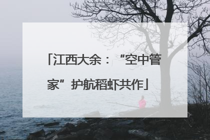江西大余：“空中管家”护航稻虾共作