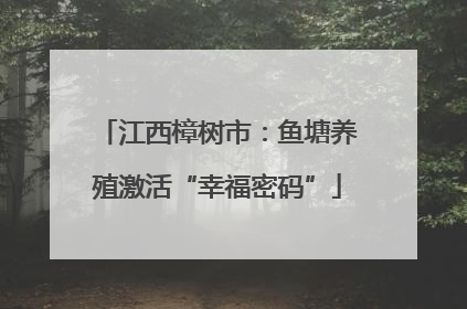 江西樟树市：鱼塘养殖激活“幸福密码”