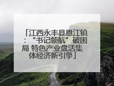 江西永丰县恩江镇：“书记领航”破困局 特色产业盘活集体经济新引擎