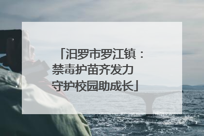 汨罗市罗江镇：禁毒护苗齐发力 守护校园助成长