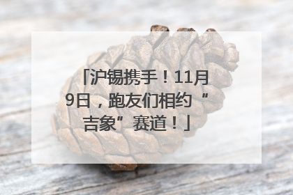 沪锡携手！11月9日，跑友们相约“吉象”赛道！