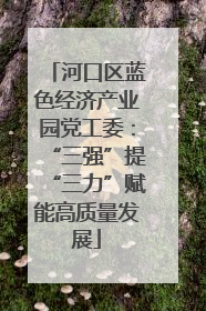 河口区蓝色经济产业园党工委：“三强”提“三力”赋能高质量发展
