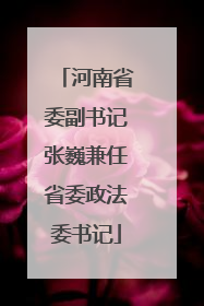 河南省委副书记张巍兼任省委政法委书记
