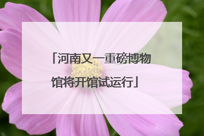 河南又一重磅博物馆将开馆试运行
