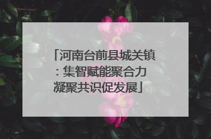 河南台前县城关镇：集智赋能聚合力 凝聚共识促发展