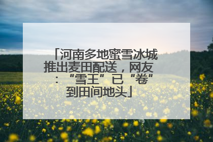 河南多地蜜雪冰城推出麦田配送，网友：“雪王”已“卷”到田间地头