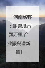 河南新野：甜蜜瓜香飘万里 产业振兴谱新篇