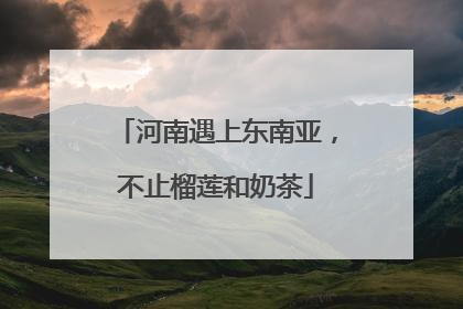 河南遇上东南亚，不止榴莲和奶茶