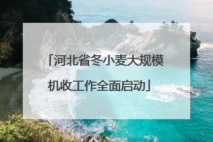 河北省冬小麦大规模机收工作全面启动