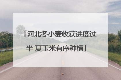 河北冬小麦收获进度过半 夏玉米有序种植