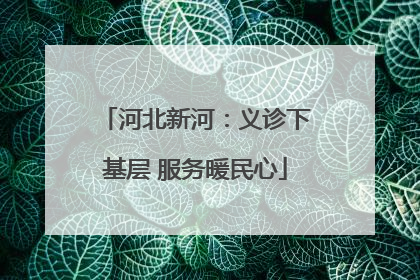 河北新河：义诊下基层 服务暖民心
