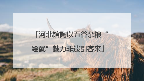 河北馆陶以五谷杂粮“绘就”魅力非遗引客来