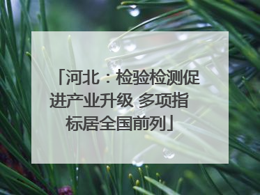 河北：检验检测促进产业升级 多项指标居全国前列