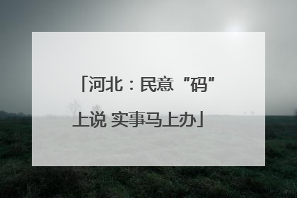 河北：民意“码”上说 实事马上办