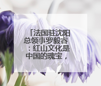 法国驻沈阳总领事罗毅睿：红山文化是中国的瑰宝，也是世界文化遗产