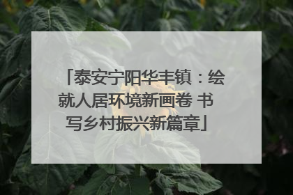 泰安宁阳华丰镇：绘就人居环境新画卷 书写乡村振兴新篇章