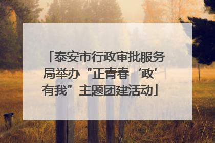 泰安市行政审批服务局举办“正青春‘政’有我”主题团建活动