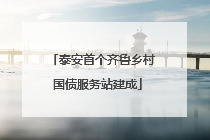 泰安首个齐鲁乡村国债服务站建成