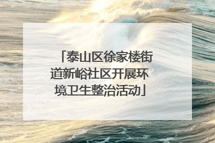 泰山区徐家楼街道新峪社区开展环境卫生整治活动