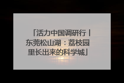 活力中国调研行丨东莞松山湖：荔枝园里长出来的科学城