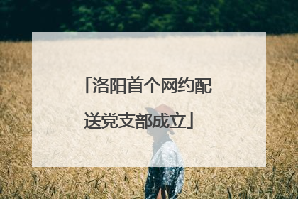 洛阳首个网约配送党支部成立