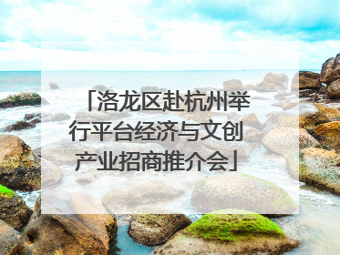洛龙区赴杭州举行平台经济与文创产业招商推介会