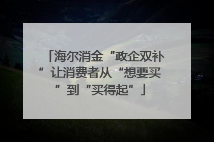 海尔消金“政企双补”让消费者从“想要买”到“买得起”