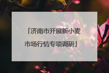 济南市开展新小麦市场行情专项调研