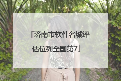 济南市软件名城评估位列全国第7