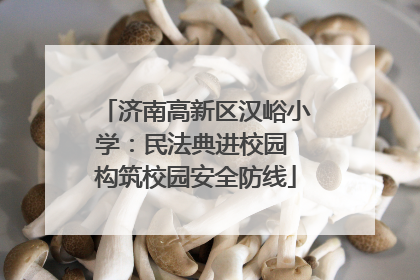 济南高新区汉峪小学：民法典进校园 构筑校园安全防线