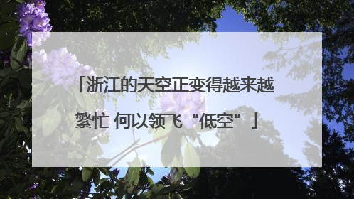 浙江的天空正变得越来越繁忙 何以领飞“低空”