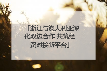 浙江与澳大利亚深化双边合作 共筑经贸对接新平台