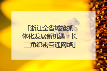 浙江全省域抢抓一体化发展新机遇：长三角织密互通网络