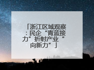 浙江区域观察：民企“青蓝接力”折射产业“向新力”