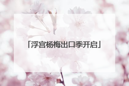 浮宫杨梅出口季开启