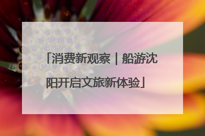 消费新观察｜船游沈阳开启文旅新体验