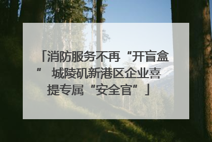 消防服务不再“开盲盒” 城陵矶新港区企业喜提专属“安全官”