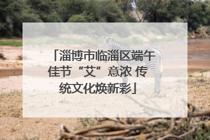 淄博市临淄区端午佳节“艾”意浓 传统文化焕新彩
